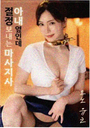 术语核对图鉴 中文字幕专有名词处理